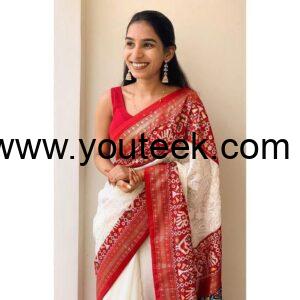 Georgette chikankari lucknowi embroidered saree