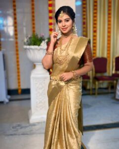 banarasi brocade tissue saree