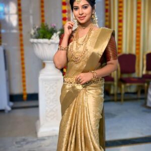 banarasi brocade tissue saree