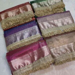 banarasi tissue mirror work saree