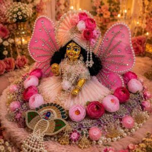 floral pink butterfly poshak for janmashtami
