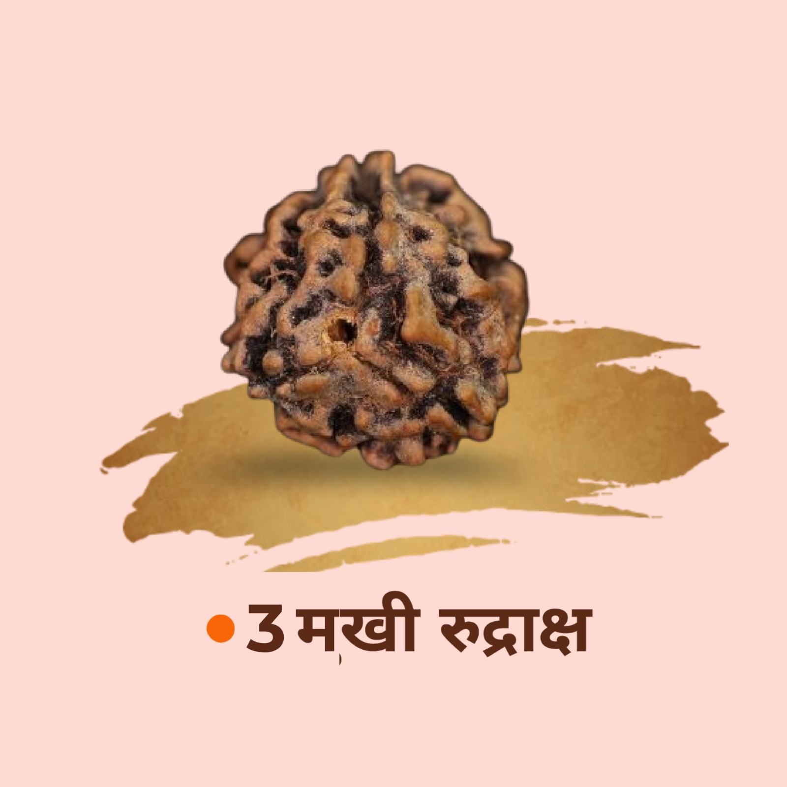 3 Mukhi Rudraksha