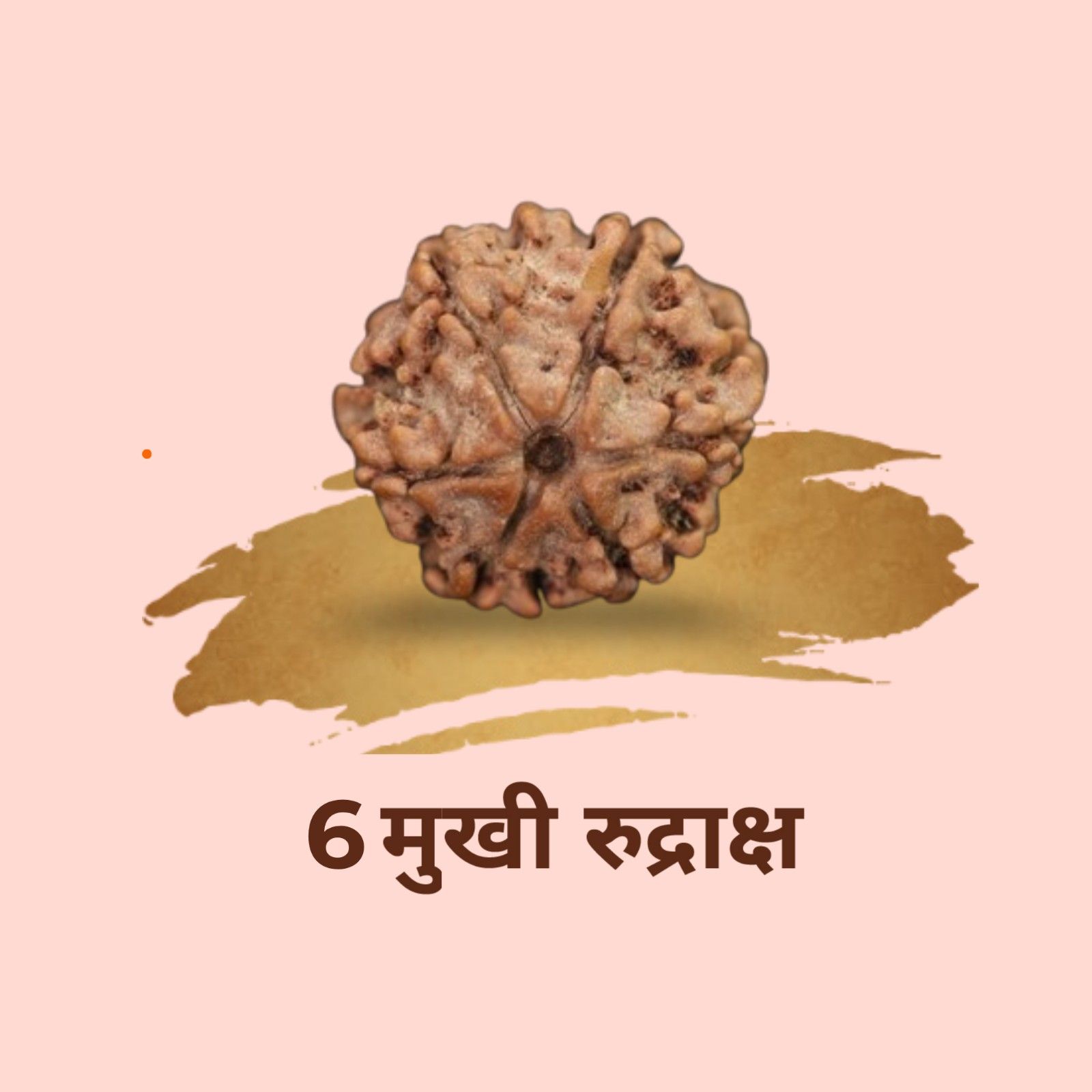 6 Mukhi Rudraksha | Original Cheh Mukhi for Willpower 1 Original 6 Mukhi Rudraksha bead. Powerful Cheh Mukhi Rudraksha ruled by Lord Kartikeya. Best for willpower, focus, emotional balance and career success. 6 Mukhi Rudraksha