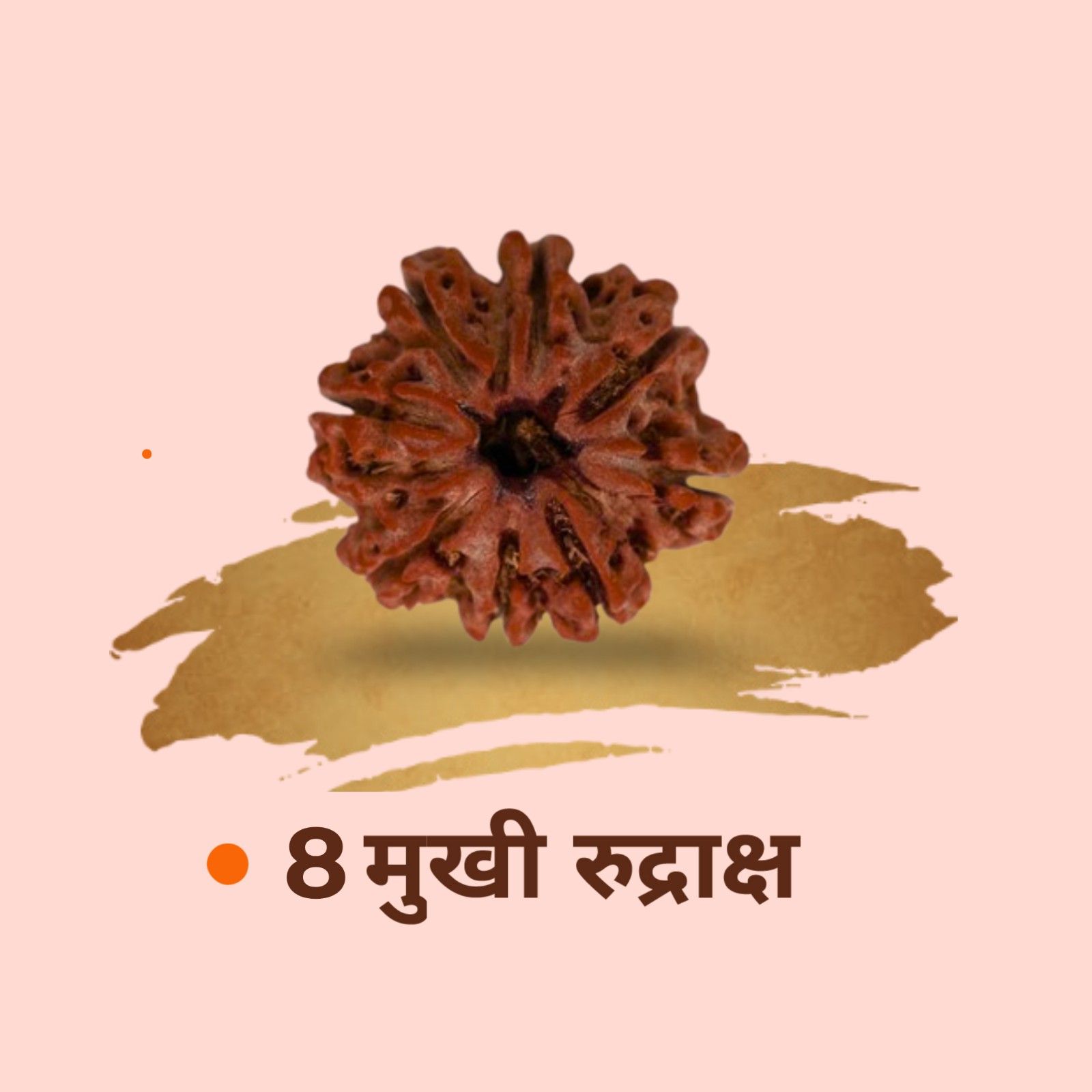 8 Mukhi Rudraksha | Original Aath Mukhi for Removing Obstacles 1 Original 8 Mukhi Rudraksha bead. Powerful Aath Mukhi Rudraksha ruled by Lord Ganesha. Best for removing obstacles, success, stability and new beginnings. 8 Mukhi Rudraksha
