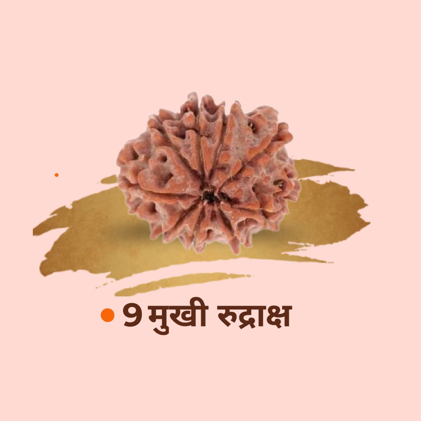 9 Mukhi Rudraksha | Original Nau Mukhi for Courage 1 Original 9 Mukhi Rudraksha bead. Powerful Nau Mukhi Rudraksha ruled by Goddess Durga. Best for courage, protection, energy and overcoming fears 9 Mukhi Rudraksha