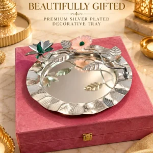 German Silver Tray in Velvet Box