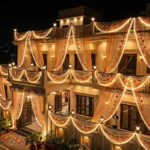 LED Jhalar Floral Embroidered Curtain Lights 20x2 Feet